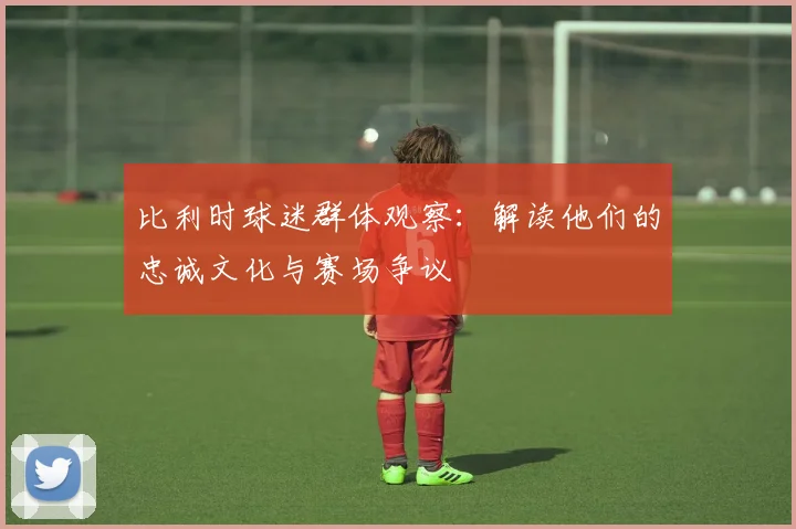比利时球迷群体观察:解读他们的忠诚文化与赛场争议