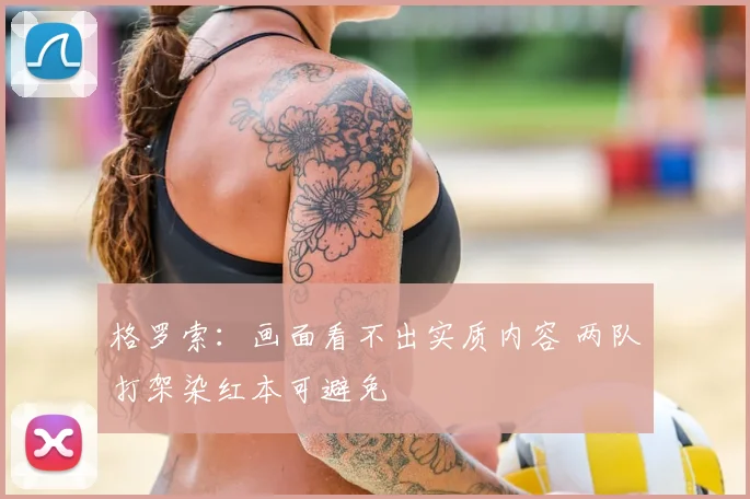 格罗索:画面看不出实质内容 两队打架染红本可避免