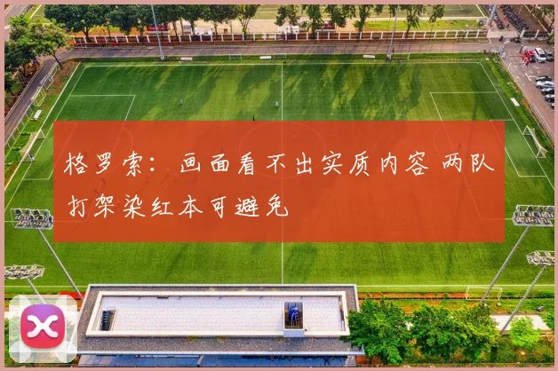 格罗索：画面看不出实质内容 两队打架染红本可避免